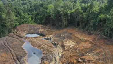 Tambang Ilegal 4.000 Hektare di Kawasan IKN, Kepala Otorita Buka Suara