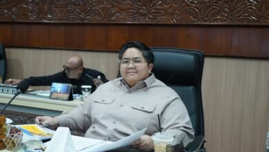 Wakil Ketua DPRD Kaltim, Ananda Emira Moeis yang menyoroti kasus stunting